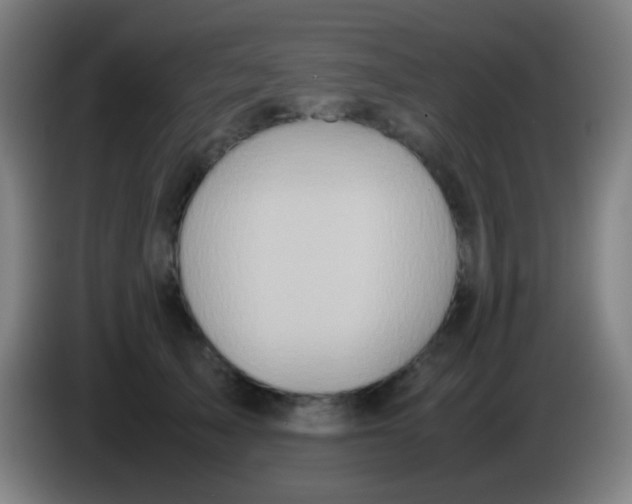 X0000085310705200703302023