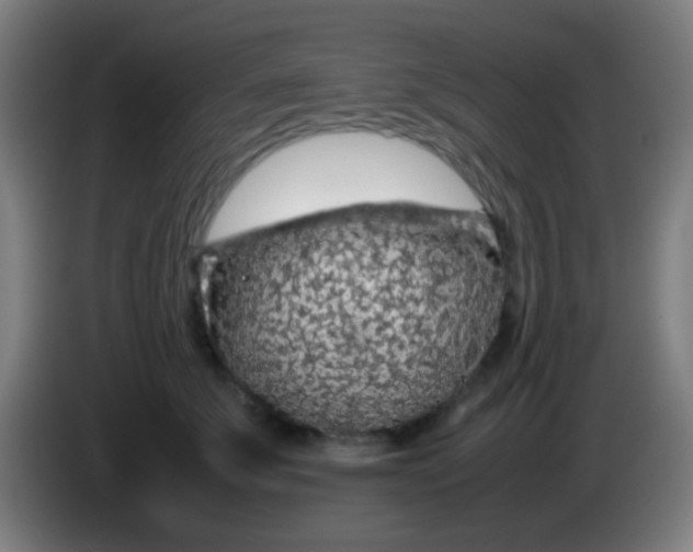 X0000085310707200703302023