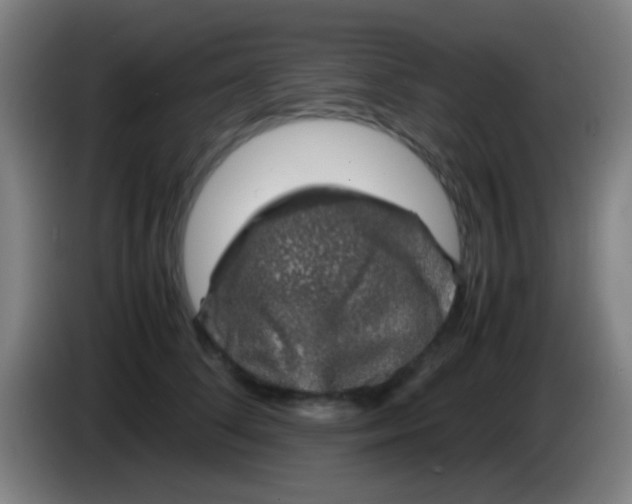 X0000085310708200703302023