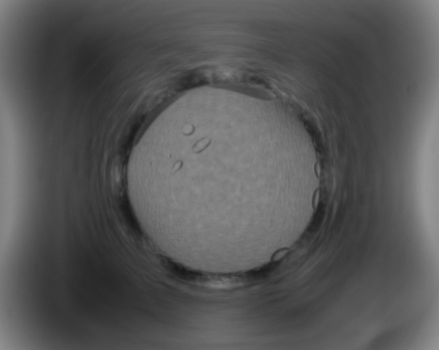 X0000085310709200703302023