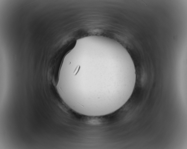 X0000085310710200703302023