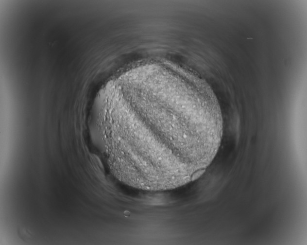 X0000085310711200703302023