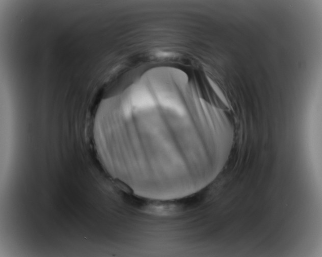 X0000085310712200703302023