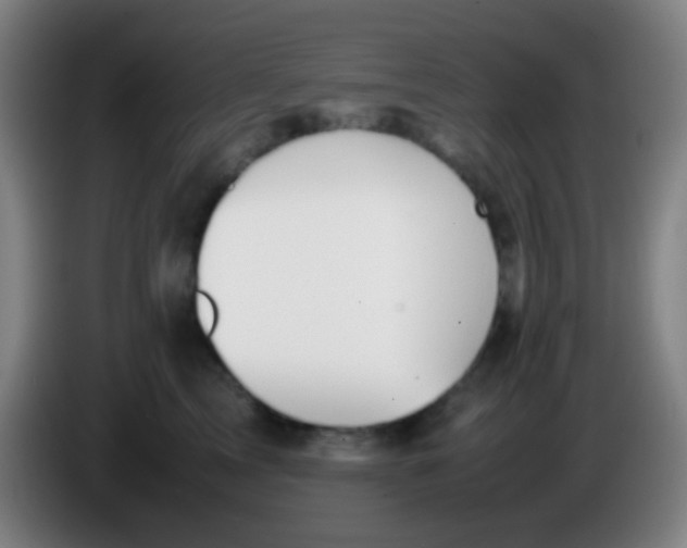 X0000085310713200703302023