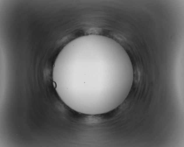 X0000085310714200703302023