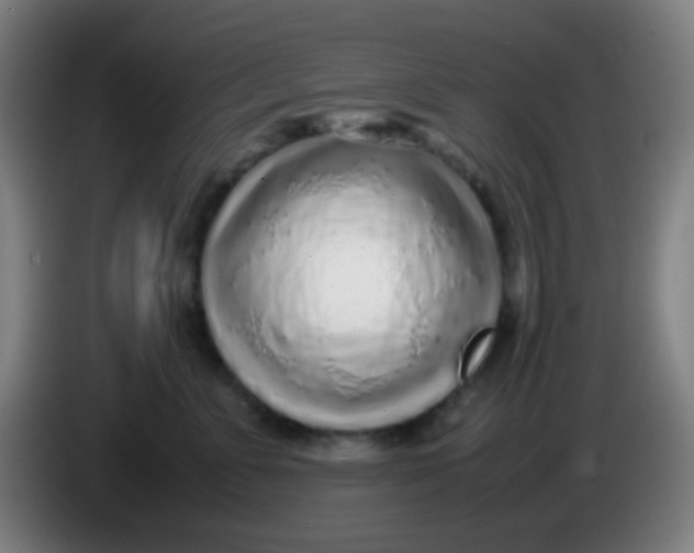 X0000085310715200703302023