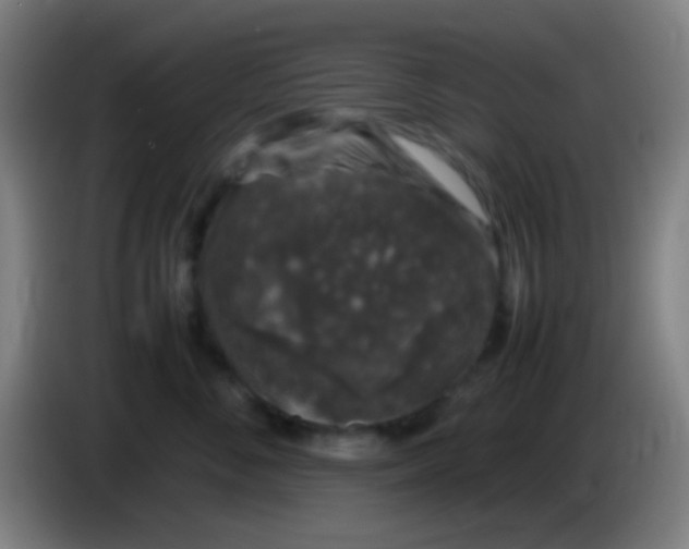 X0000085310716200703302022