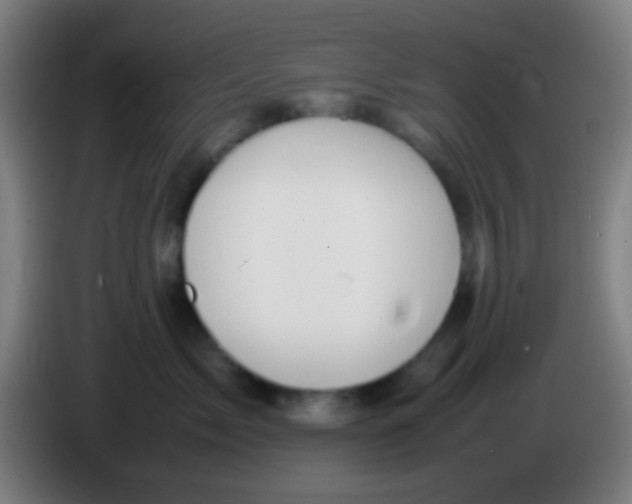 X0000085310717200703302022