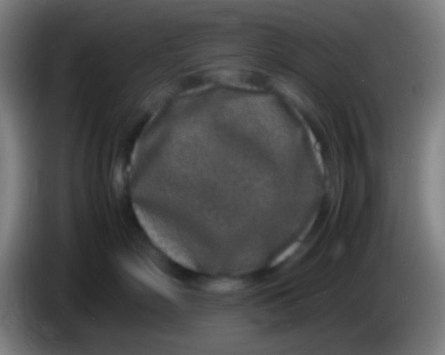 X0000085310718200703302022