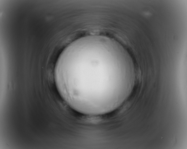 X0000085310719200703302022