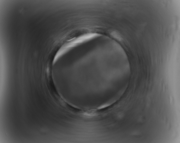 X0000085310720200703302022