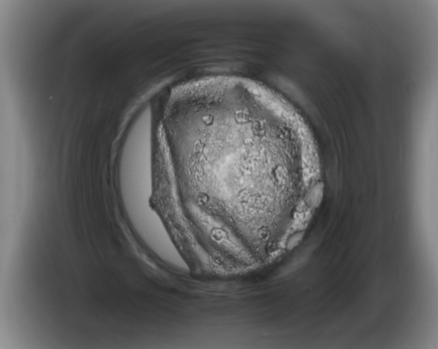 X0000085310721200703302022