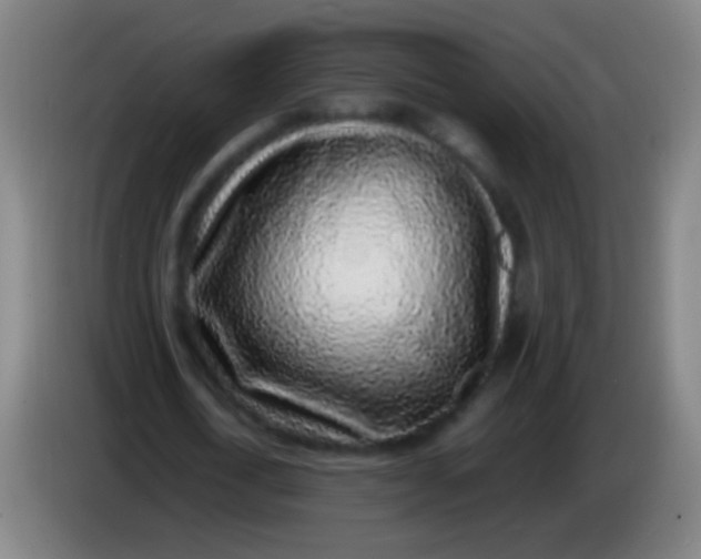 X0000085310722200703302022