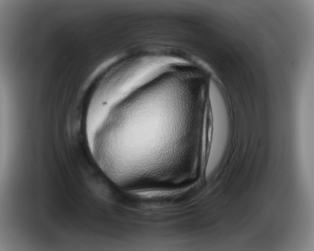 X0000085310723200703302022