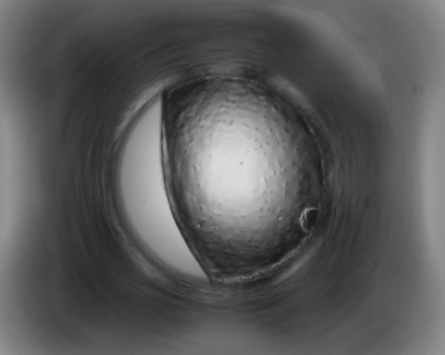 X0000085310725200703302022