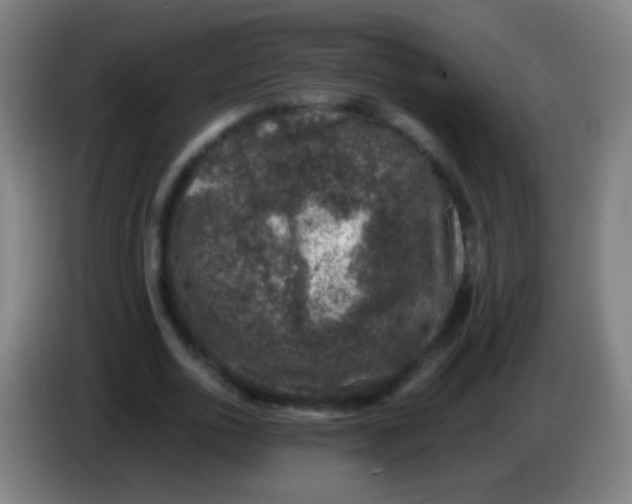 X0000085310726200703302022