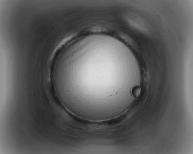 X0000085310727200703302022