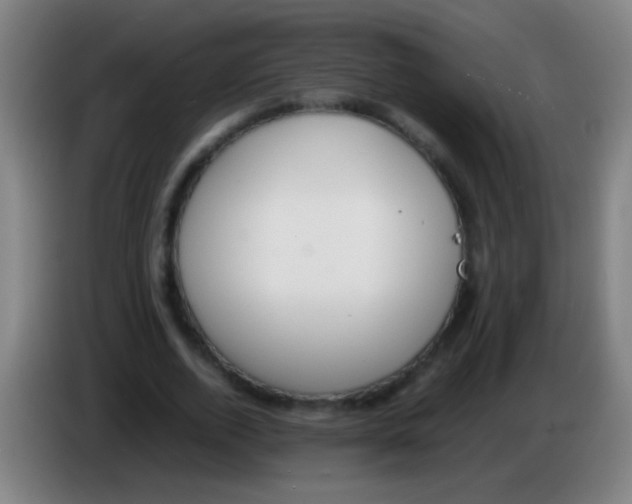 X0000085310728200703302022