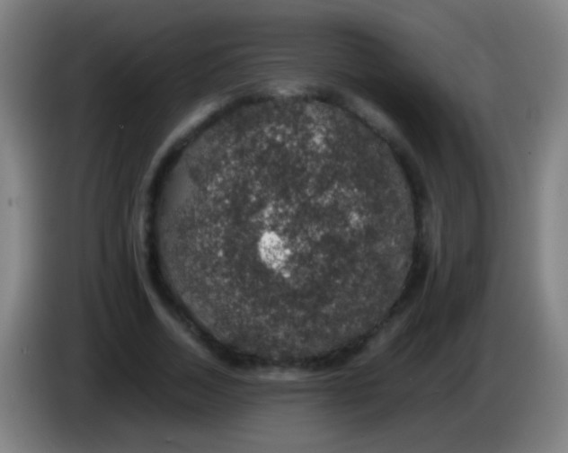 X0000085310730200703302022