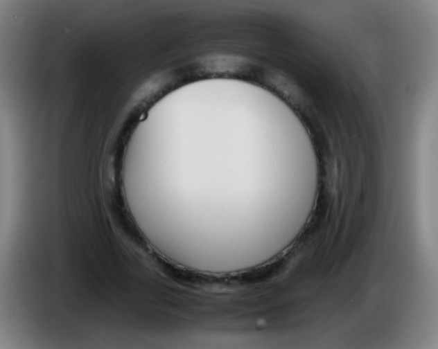 X0000085310731200703302022