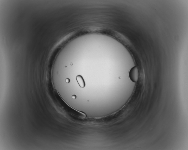 X0000085310732200703302022