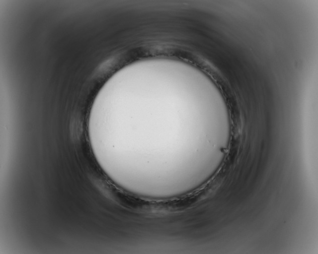 X0000085310733200703302022