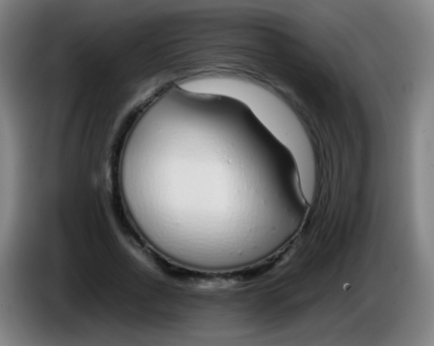 X0000085310734200703302022