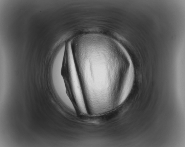 X0000085310735200703302022