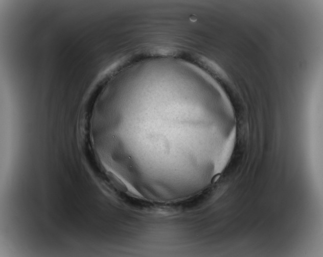 X0000085310736200703302022