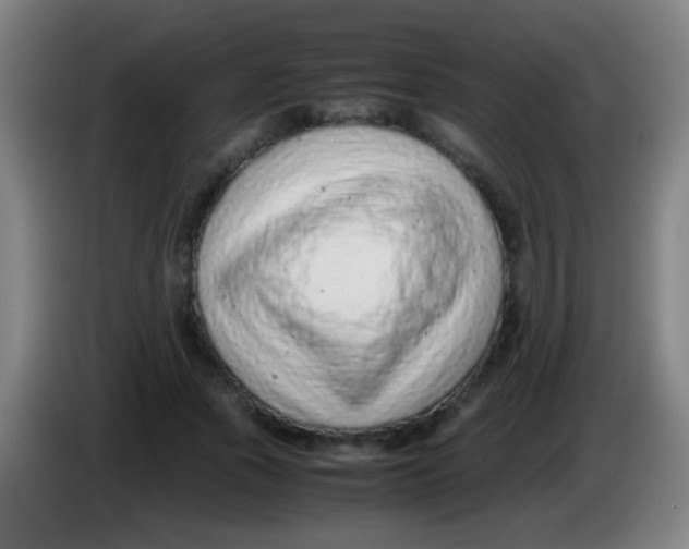 X0000085310737200703302022