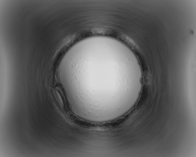 X0000085310738200703302022