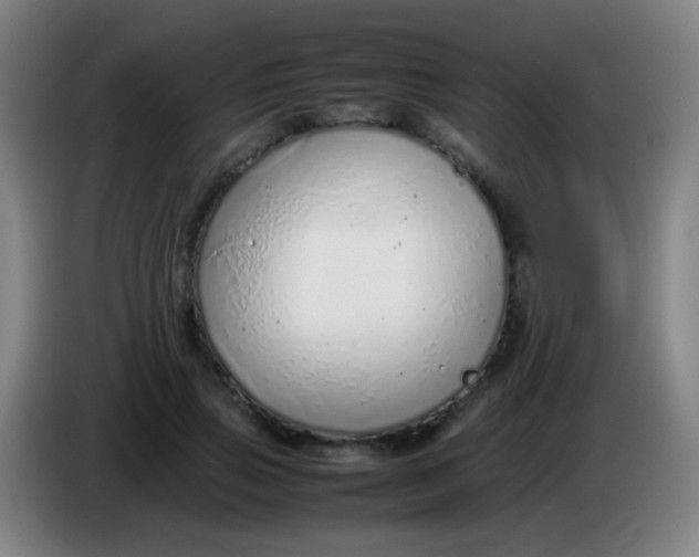 X0000085310741200703302022