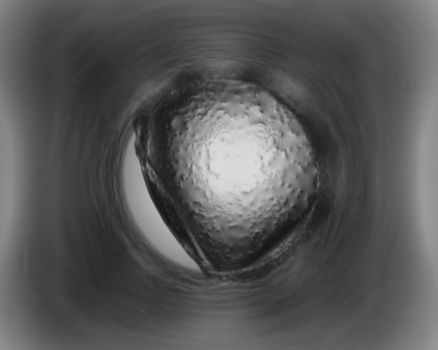 X0000085310742200703302022