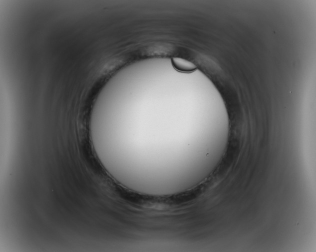 X0000085310743200703302022