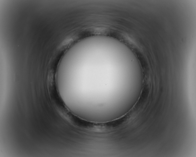 X0000085310744200703302022