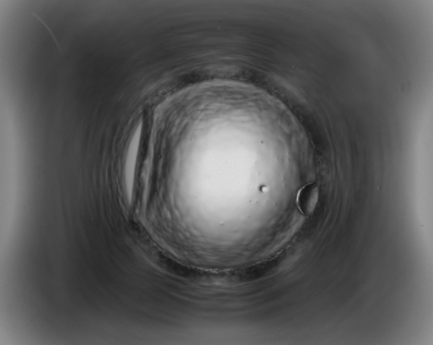 X0000085310745200703302022