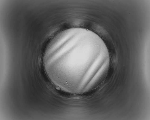 X0000085310746200703302022