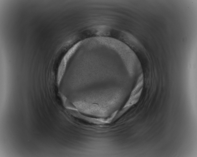 X0000085310748200703302022