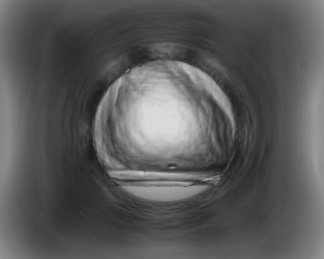 X0000085310749200703302022