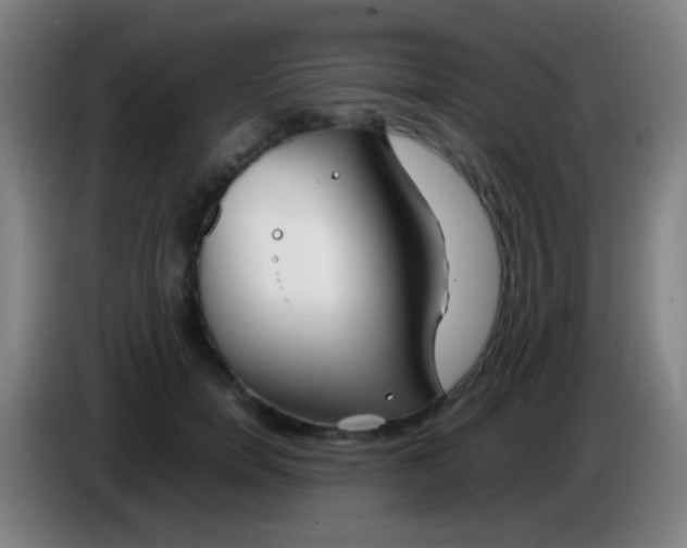 X0000085310750200703302022