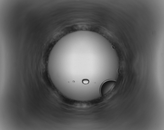 X0000085310751200703302022