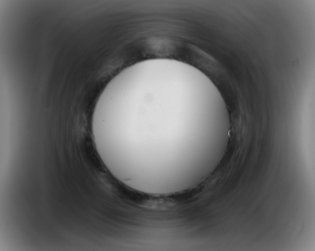 X0000085310752200703302022