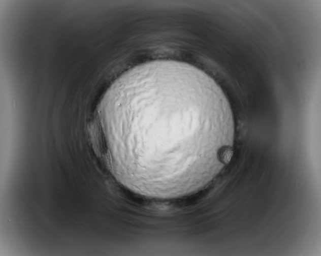 X0000085310753200703302022