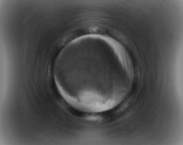 X0000085310754200703302022