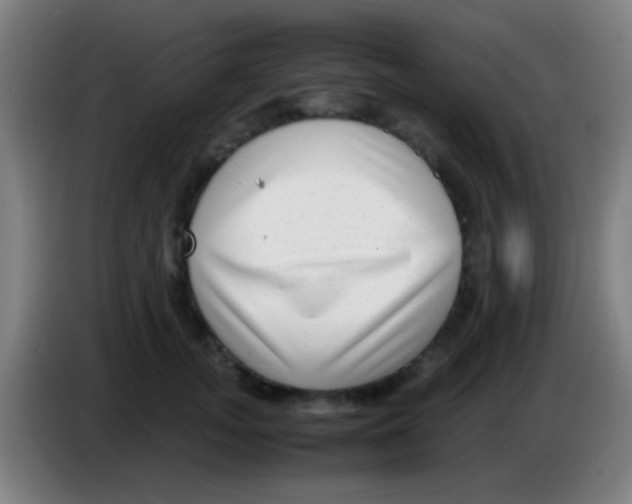 X0000085310755200703302022