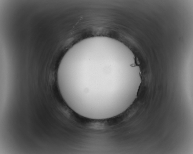 X0000085310756200703302022