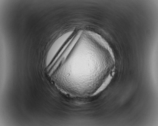 X0000085310757200703302022