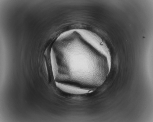 X0000085310759200703302022