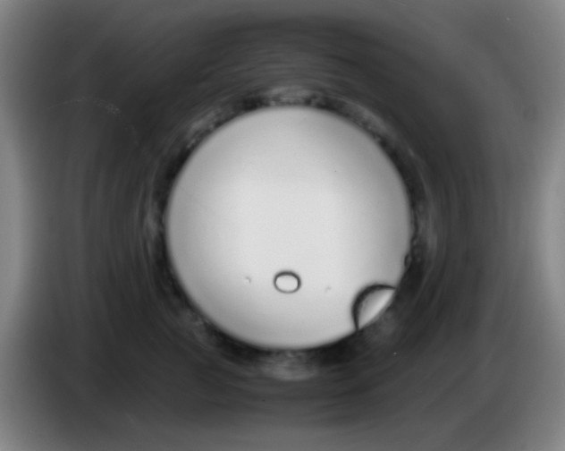 X0000085310761200703302022