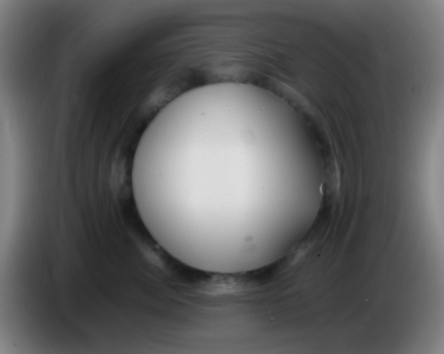 X0000085310764200703302022